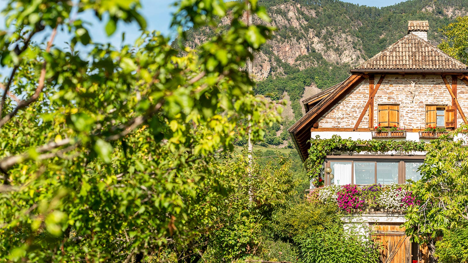 Hotel Hanny Bolzano Hotel Hanny Bolzano